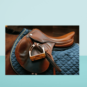 Image for Saddlery Equipment product