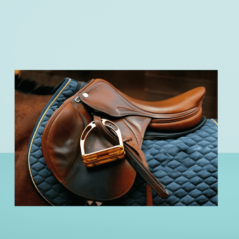 Saddlery Equipment